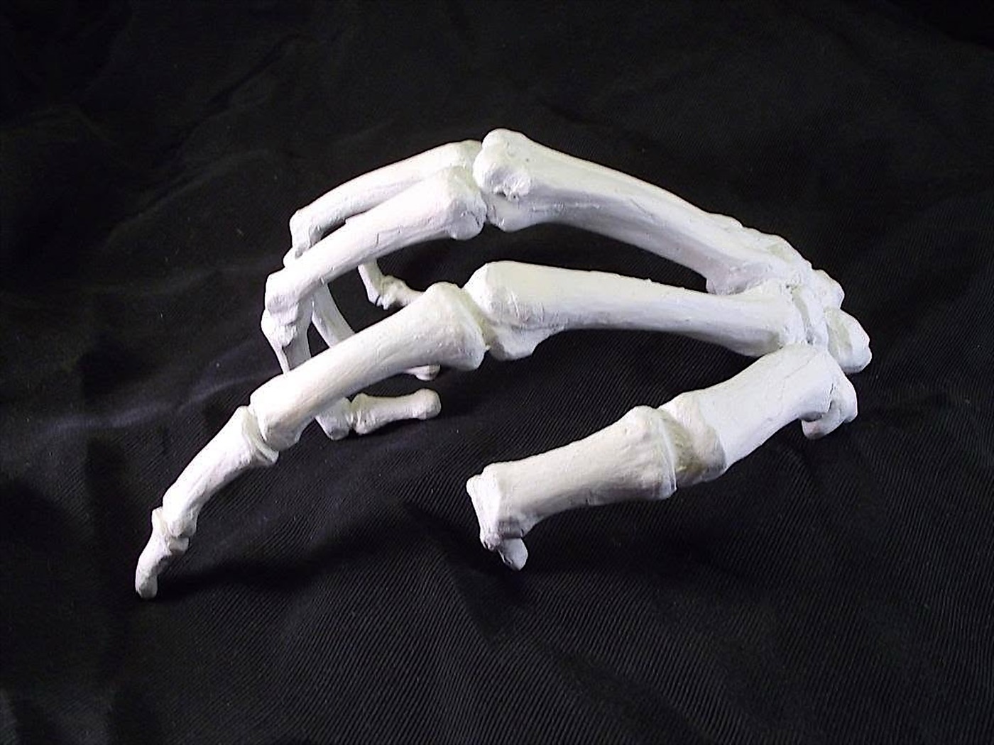 The hand of bone china